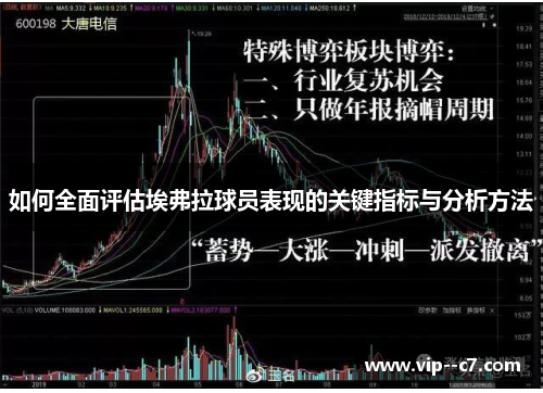 如何全面评估埃弗拉球员表现的关键指标与分析方法
