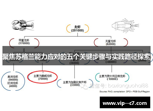 聚焦苏格兰能力应对的五个关键步骤与实践路径探索