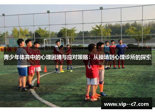 青少年体育中的心理困境与应对策略:从操场到心理诊所的探索 青少年体育中的心理困境与应对策略:从操场到心理诊所的探索