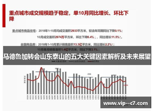 马德鲁加转会山东泰山的五大关键因素解析及未来展望