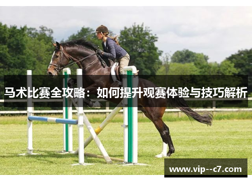 马术比赛全攻略:如何提升观赛体验与技巧解析 马术比赛全攻略:如何提升观赛体验与技巧解析