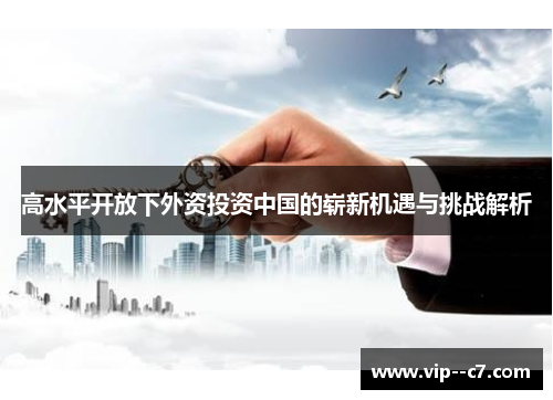 高水平开放下外资投资中国的崭新机遇与挑战解析