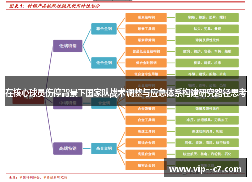 在核心球员伤停背景下国家队战术调整与应急体系构建研究路径思考