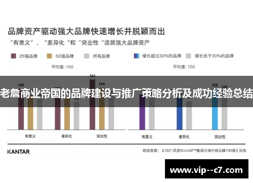 老詹商业帝国的品牌建设与推广策略分析及成功经验总结