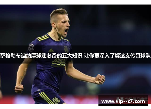 萨格勒布迪纳摩球迷必备的五大知识 让你更深入了解这支传奇球队