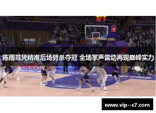 陈雨菲凭精准后场劈杀夺冠 全场掌声雷动再现巅峰实力