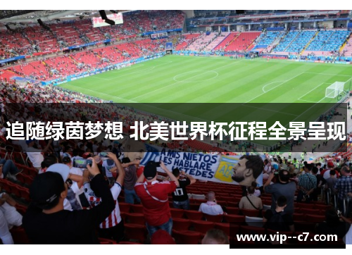 追随绿茵梦想 北美世界杯征程全景呈现 追随绿茵梦想 北美世界杯征程全景呈现