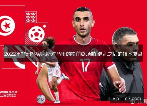 2022年非洲杯突尼斯对马里的提前终场哨 混乱之后的技术复盘